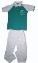 OIP.webp